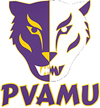 Prairie View A&M Panthers 1991-1997 Primary Logo iron on paper